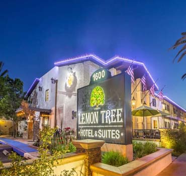 The Hotel Lemon Tree